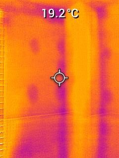 Member of Federation of Damp