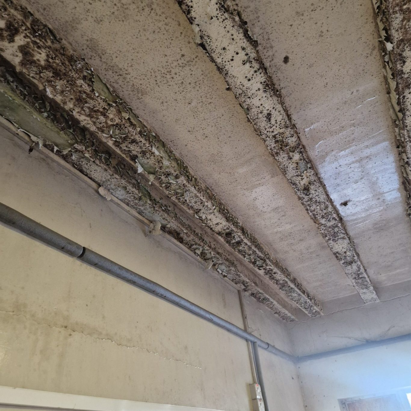 Exposed ceiling beams with visible mould and peeling paint.